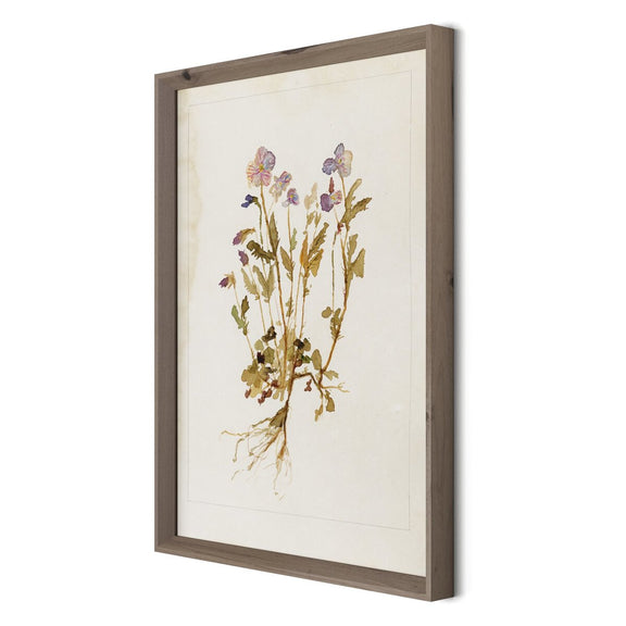 Viola No. 2 by Laurel-Dawn Latshaw - Rustic Walnut