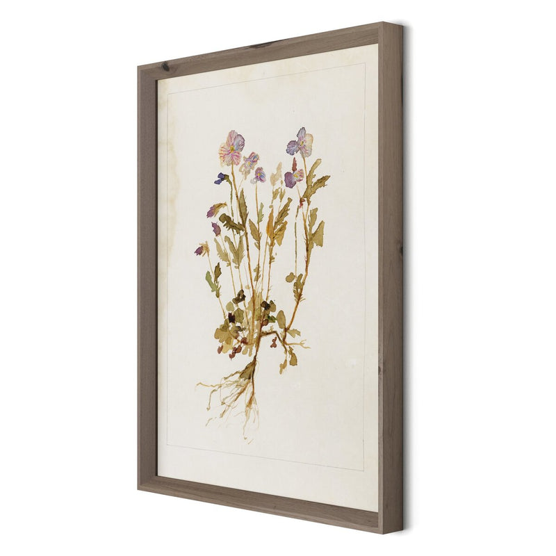 Viola No. 2 by Laurel-Dawn Latshaw - Rustic Walnut