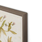 Ranunculs Abortivus No. 1 by Laurel-Dawn Latshaw - Rustic Walnut