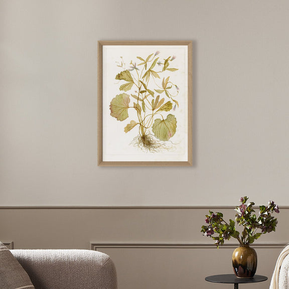 Ranunculs Abortivus No. 1 by Laurel-Dawn Latshaw - White Oak