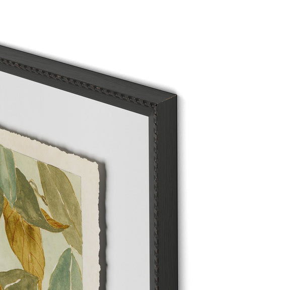 Magnolia I by Laurel-Dawn Latshaw - Brimfield Black