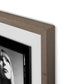 Joni Mitchell Contact Sheet by Getty Images - Rustic Walnut
