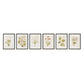 Herbarium Set by Laurel-Dawn Latshaw - Brimfield Black