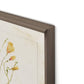 Herbarium Set by Laurel-Dawn Latshaw - Rustic Walnut