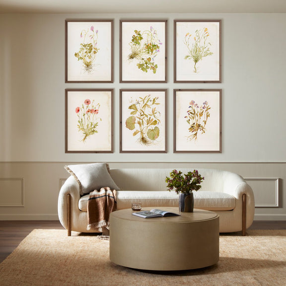 Herbarium Set by Laurel-Dawn Latshaw - Rustic Walnut