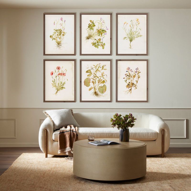 Herbarium Set by Laurel-Dawn Latshaw - Rustic Walnut