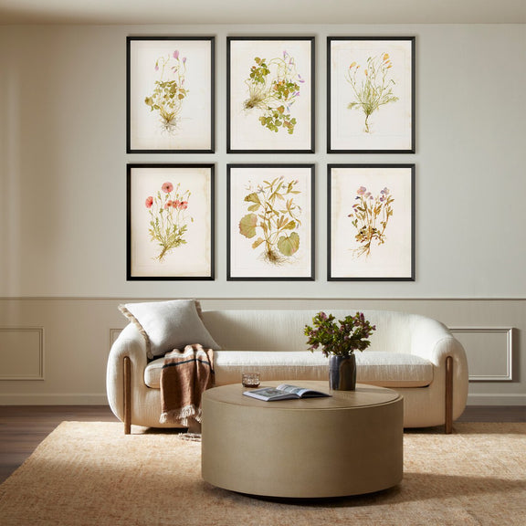 Herbarium Set by Laurel-Dawn Latshaw - Brimfield Black