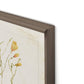 Herbarium Set by Laurel-Dawn Latshaw - Rustic Walnut
