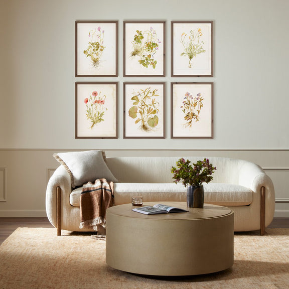 Herbarium Set by Laurel-Dawn Latshaw - Rustic Walnut