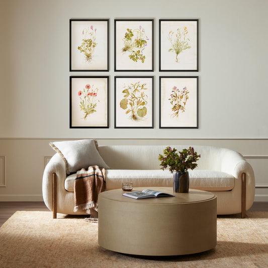 Herbarium Set by Laurel-Dawn Latshaw - Brimfield Black