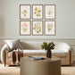 Herbarium Set by Laurel-Dawn Latshaw - Rustic Walnut