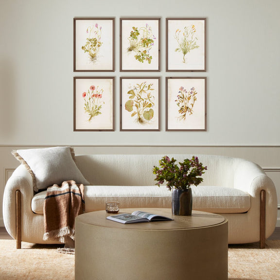 Herbarium Set by Laurel-Dawn Latshaw - Rustic Walnut