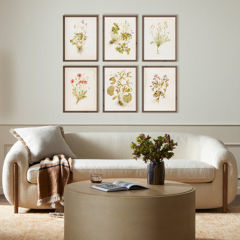 Herbarium Set by Laurel-Dawn Latshaw - Rustic Walnut