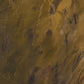 Chihuahuan Soil by Katherine Hunsaker - Rustic Walnut Floater