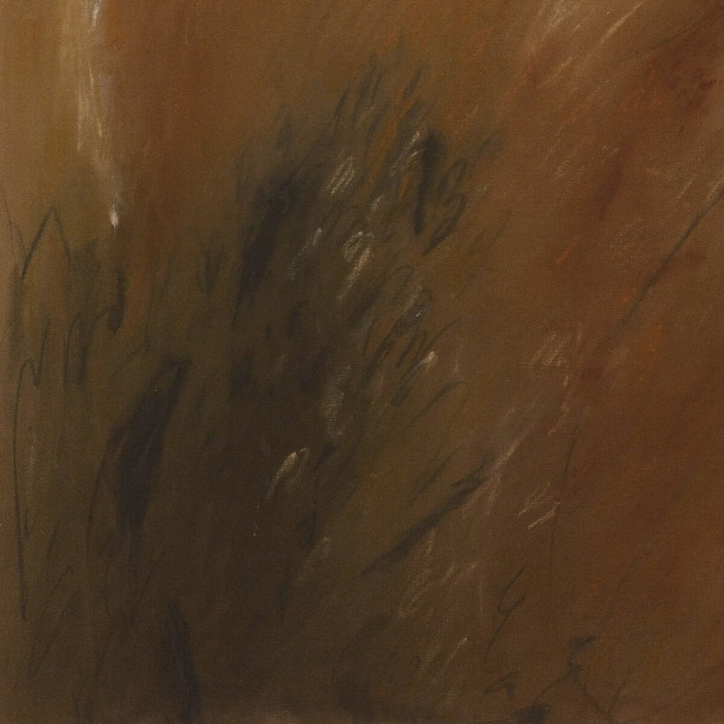 Black Bear Sighting by Katherine Hunsaker - Rooftop Vertical Grain White Oak