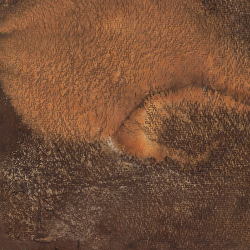 Deep Earth No. 5 by Brooke Noel Morgan - Black Maple