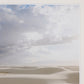 Desert Rain by Wesley and Emma Teague - White Oak