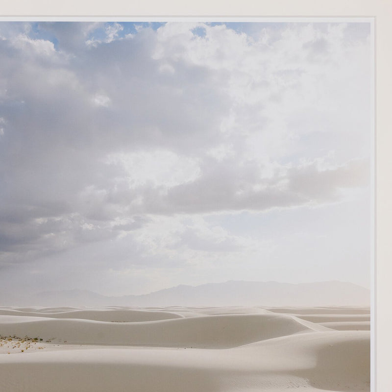 Desert Rain by Wesley and Emma Teague - White Oak