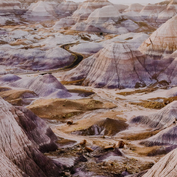 Lavender Haze by Wesley and Emma Teague - White Oak