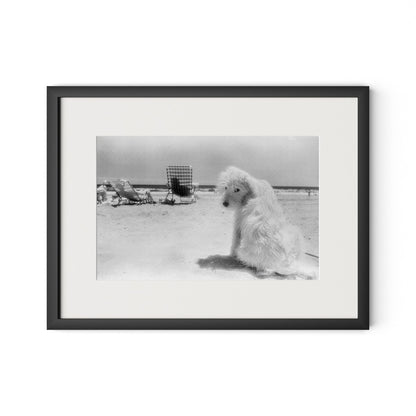 Lois At The Beach by Barbara Alper - Black Maple