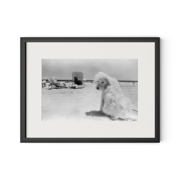 Lois At The Beach by Barbara Alper - Black Maple