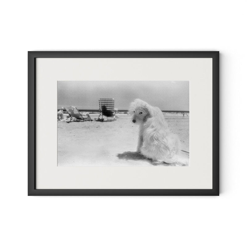 Lois At The Beach by Barbara Alper - Black Maple