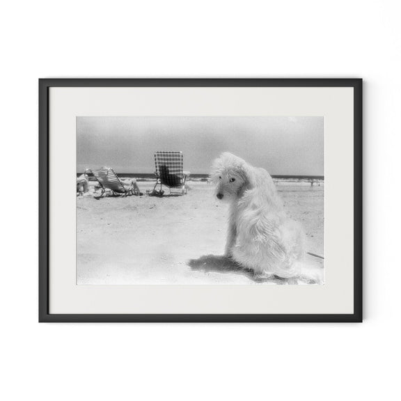 Lois At The Beach by Barbara Alper - Black Maple
