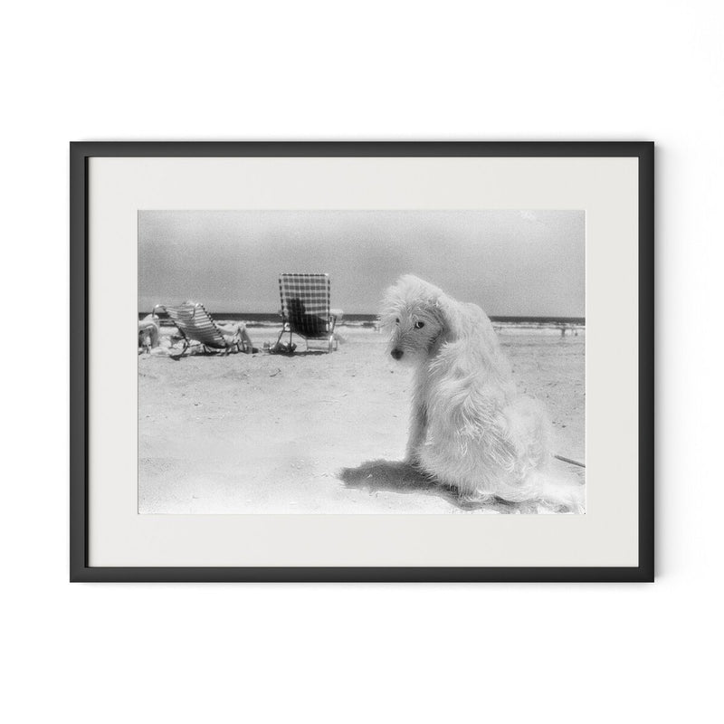 Lois At The Beach by Barbara Alper - Black Maple