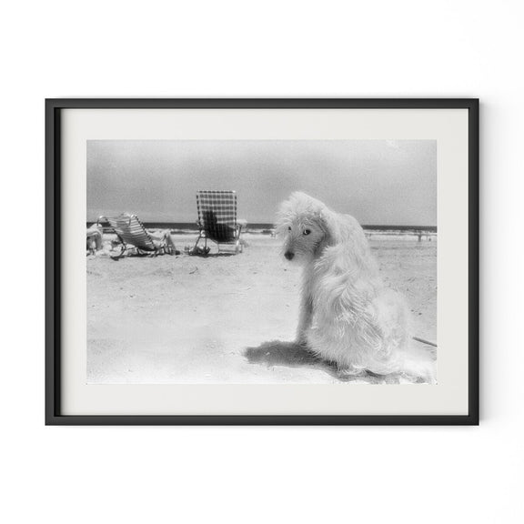 Lois At The Beach by Barbara Alper - Black Maple