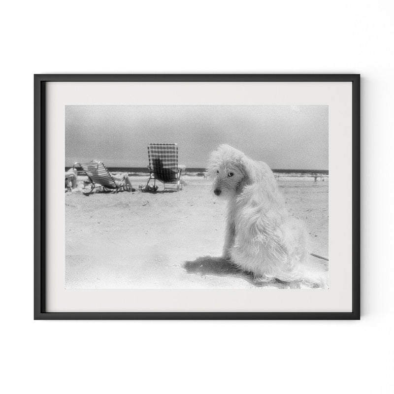 Lois At The Beach by Barbara Alper - Black Maple