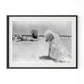 Lois At The Beach by Barbara Alper - Black Maple