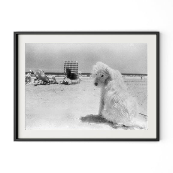 Lois At The Beach by Barbara Alper - Black Maple