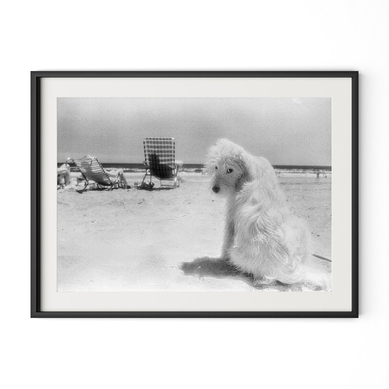 Lois At The Beach by Barbara Alper - Black Maple