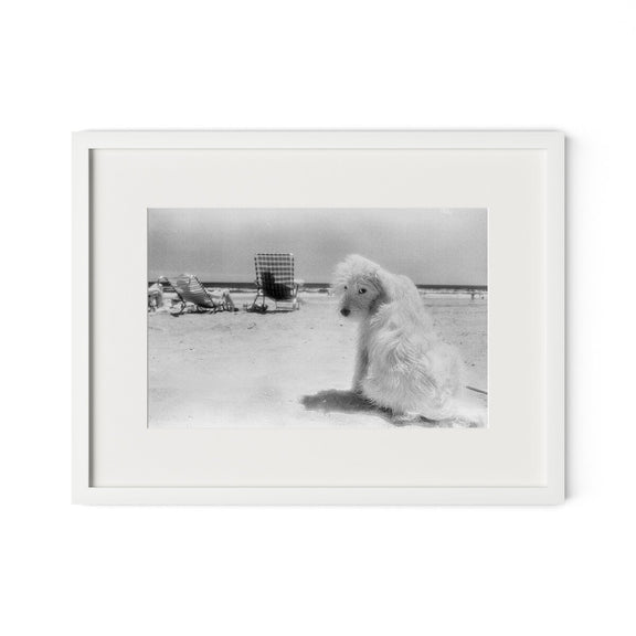 Lois At The Beach by Barbara Alper - White Maple