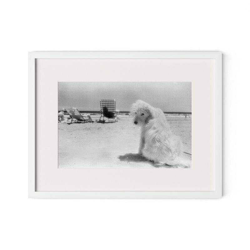 Lois At The Beach by Barbara Alper - White Maple
