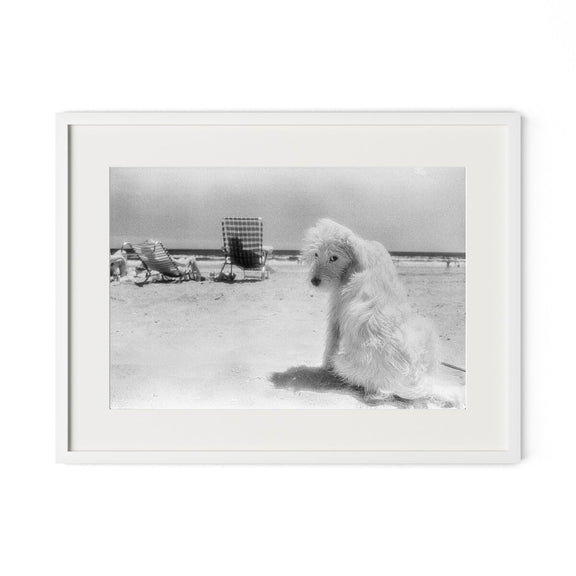Lois At The Beach by Barbara Alper - White Maple
