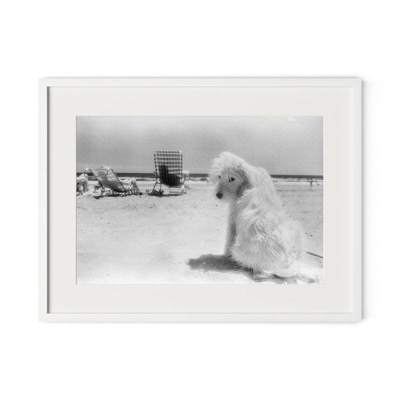 Lois At The Beach by Barbara Alper - White Maple