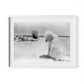 Lois At The Beach by Barbara Alper - White Maple