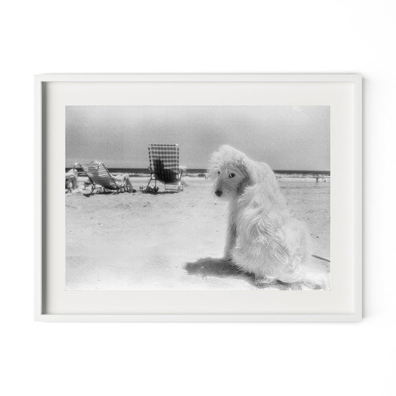 Lois At The Beach by Barbara Alper - White Maple