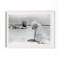 Lois At The Beach by Barbara Alper - White Maple