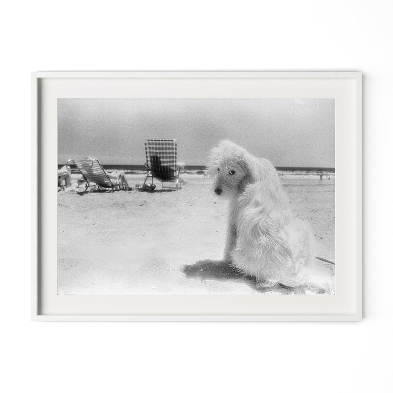 Lois At The Beach by Barbara Alper - White Maple