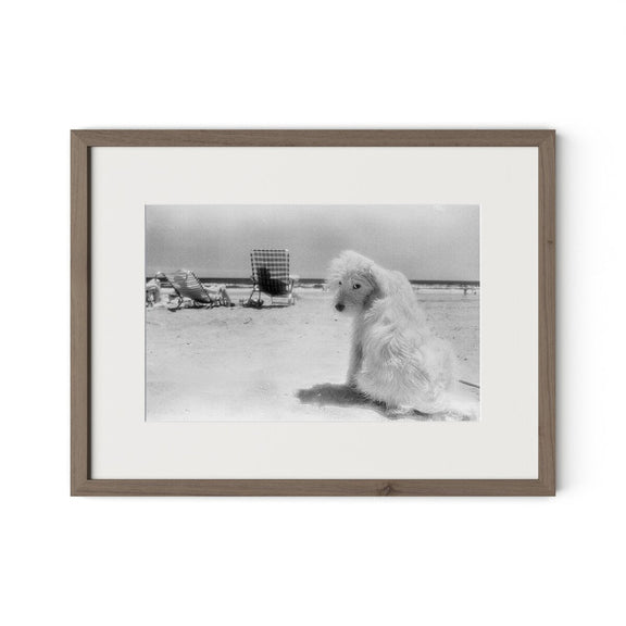 Lois At The Beach by Barbara Alper - Rustic Walnut
