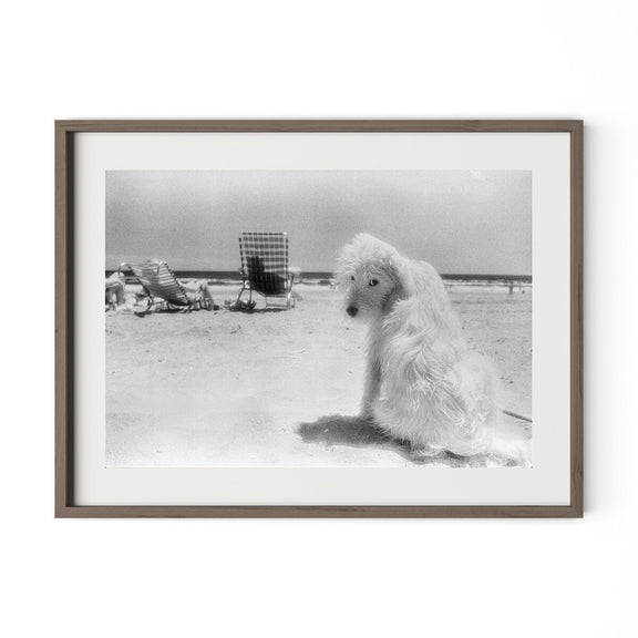 Lois At The Beach by Barbara Alper - Rustic Walnut