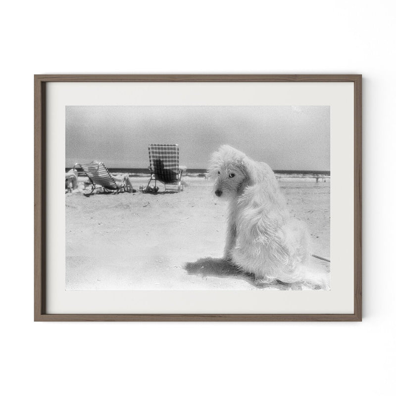 Lois At The Beach by Barbara Alper - Rustic Walnut