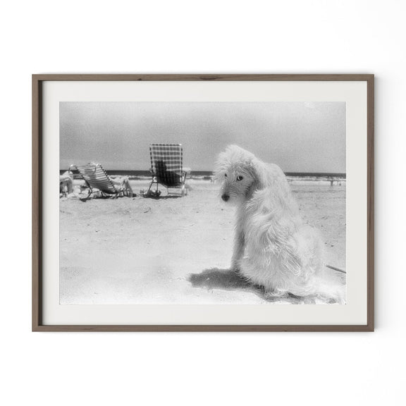 Lois At The Beach by Barbara Alper - Rustic Walnut