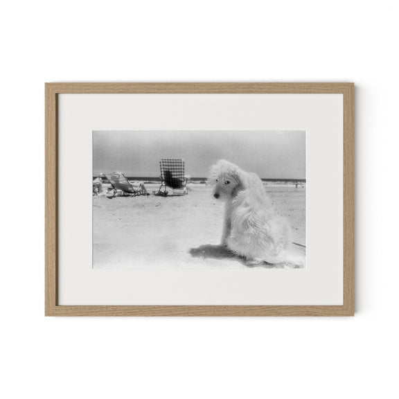 Lois At The Beach by Barbara Alper - White Oak