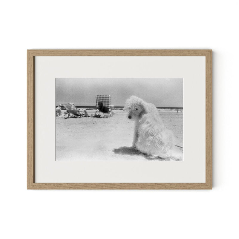 Lois At The Beach by Barbara Alper - White Oak