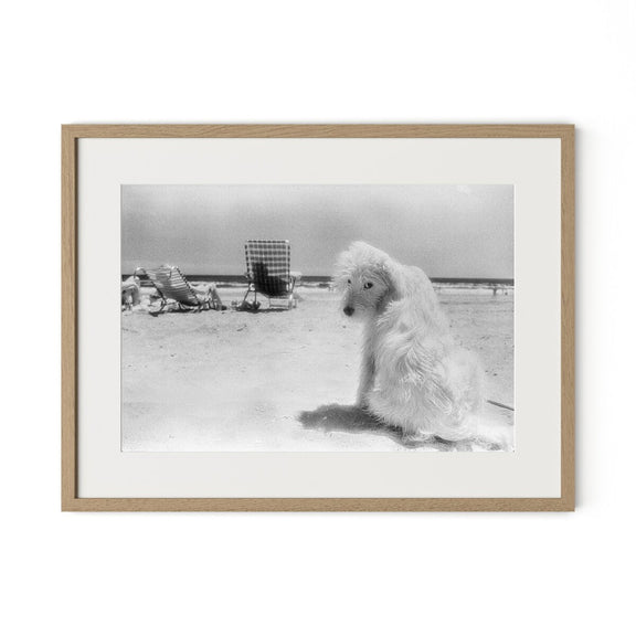 Lois At The Beach by Barbara Alper - White Oak