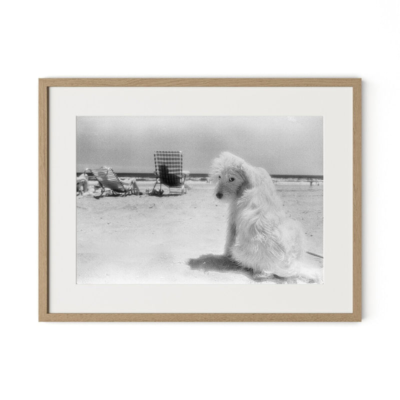 Lois At The Beach by Barbara Alper - White Oak