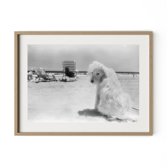 Lois At The Beach by Barbara Alper - White Oak
